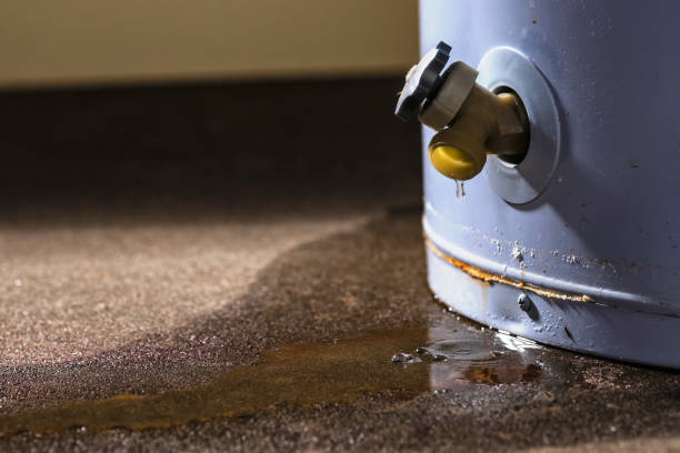 Best Flood damage cleanup  in Indian Hills, KY