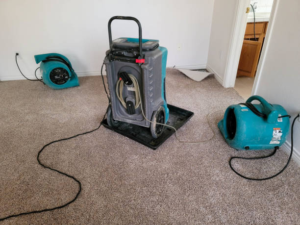 Best Water damage cleanup near me  in Indian Hills, KY