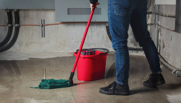 Best Professional water damage repair  in Indian Hills, KY