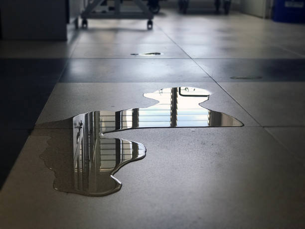 Best Water damage contractors near me  in Indian Hills, KY