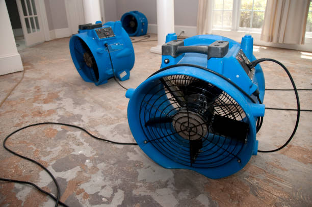 Best Emergency water damage restoration  in Indian Hills, KY