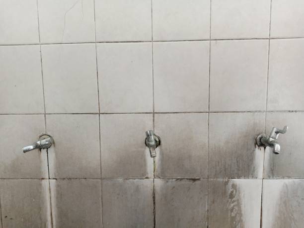 Best Local water damage restoration  in Indian Hills, KY