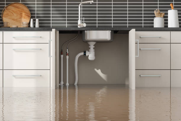 Best Sewage cleanup and water damage restoration  in Indian Hills, KY