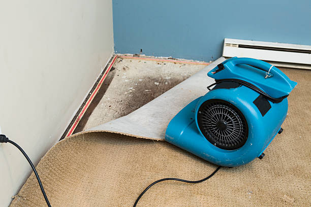 Best Residential water damage restoration  in Indian Hills, KY